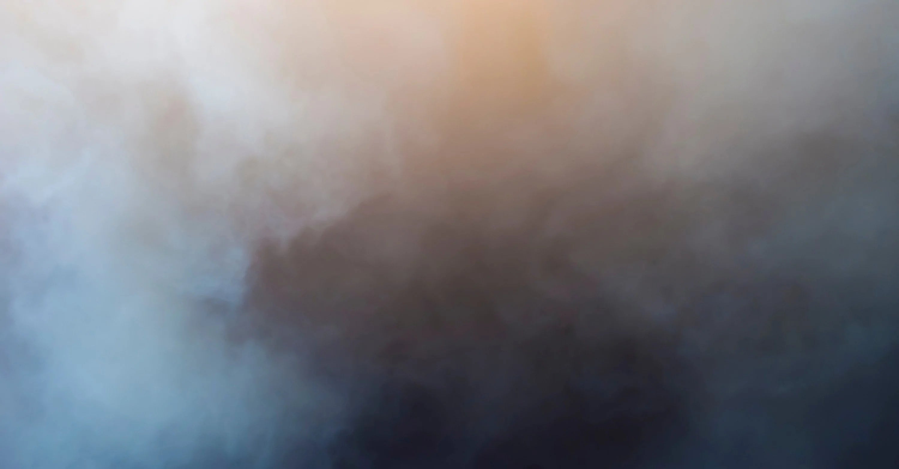 Australian Bushfire Appeal