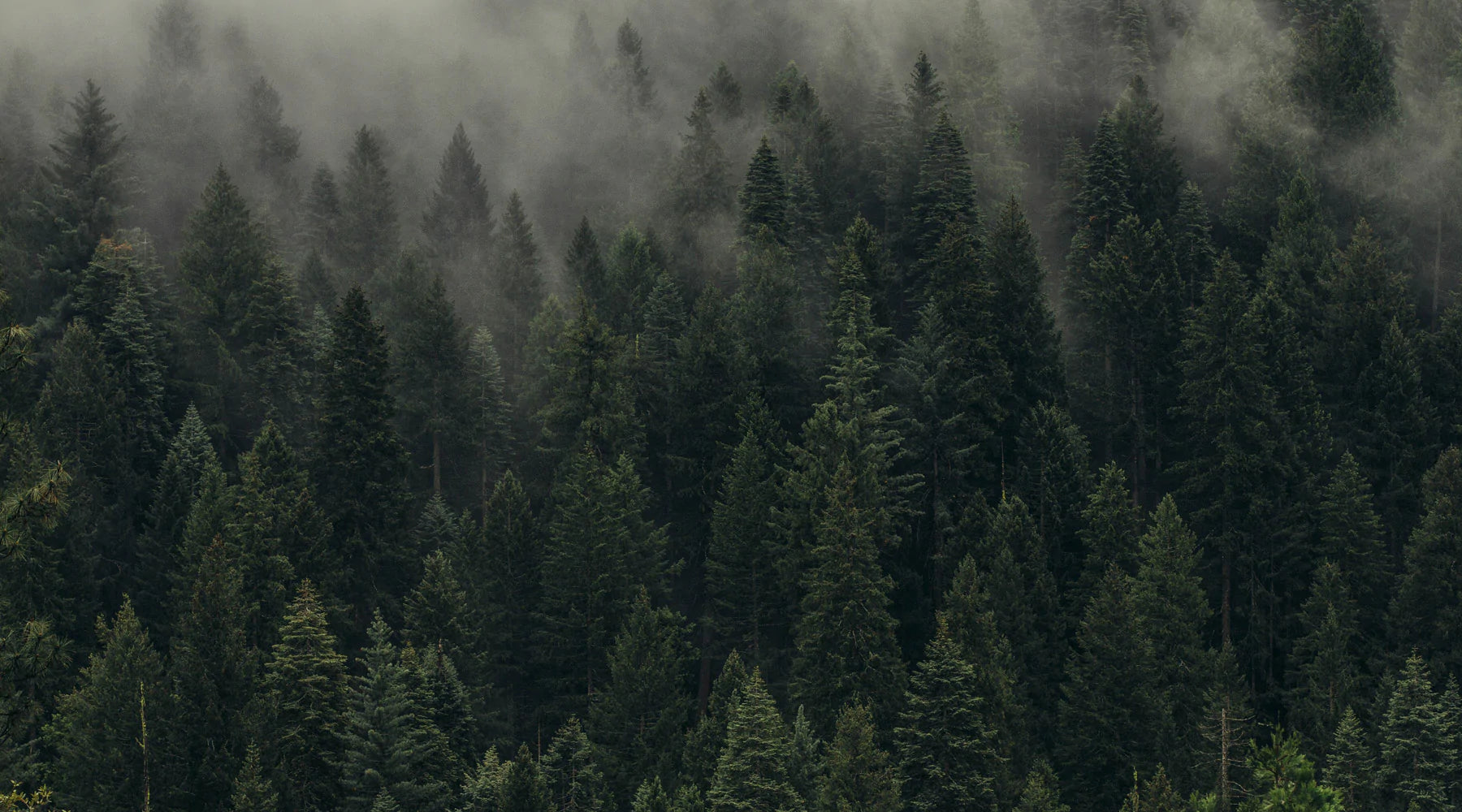 Sustainability - Our Goals