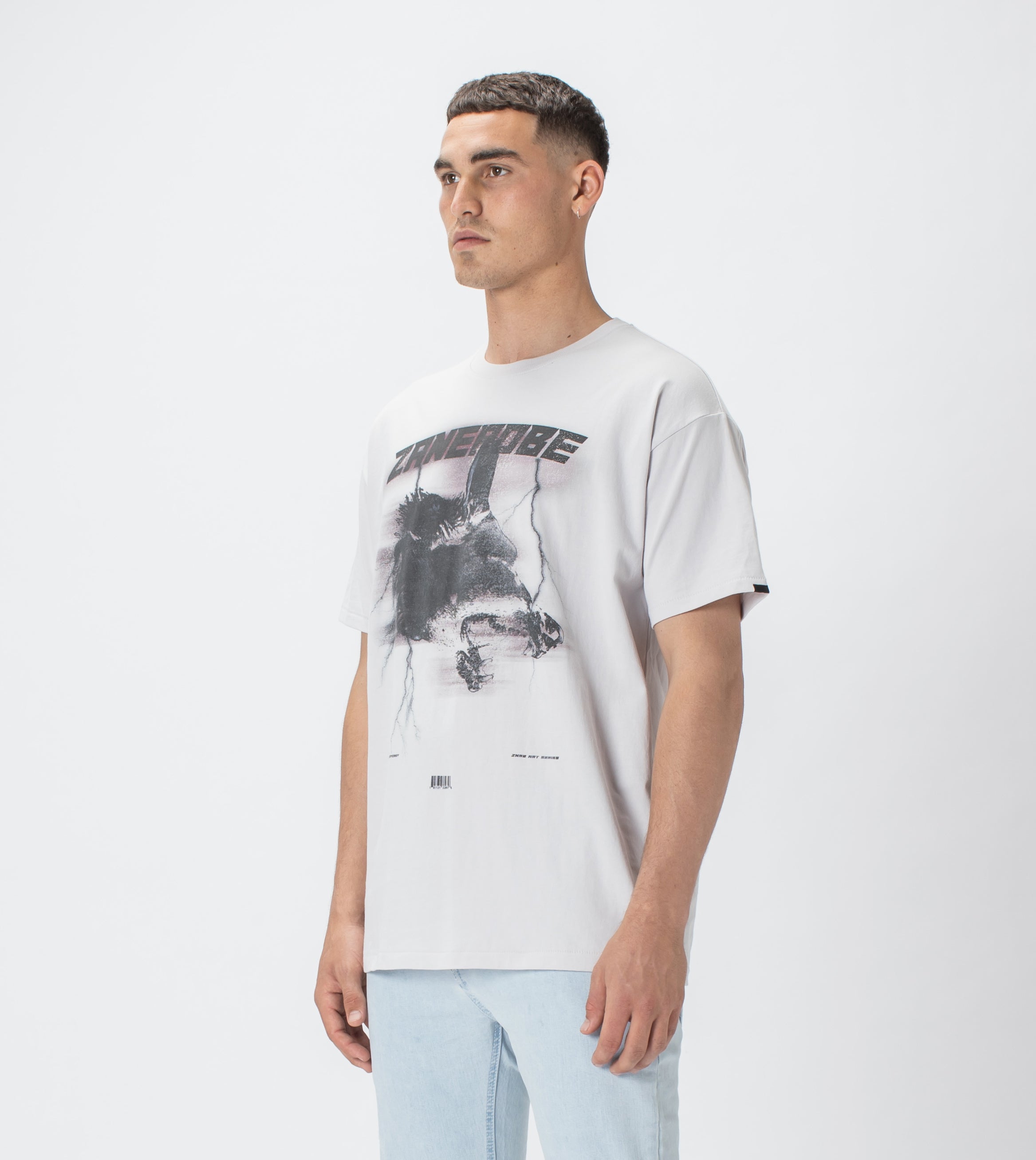 Ghost Dog Box Tee Frost