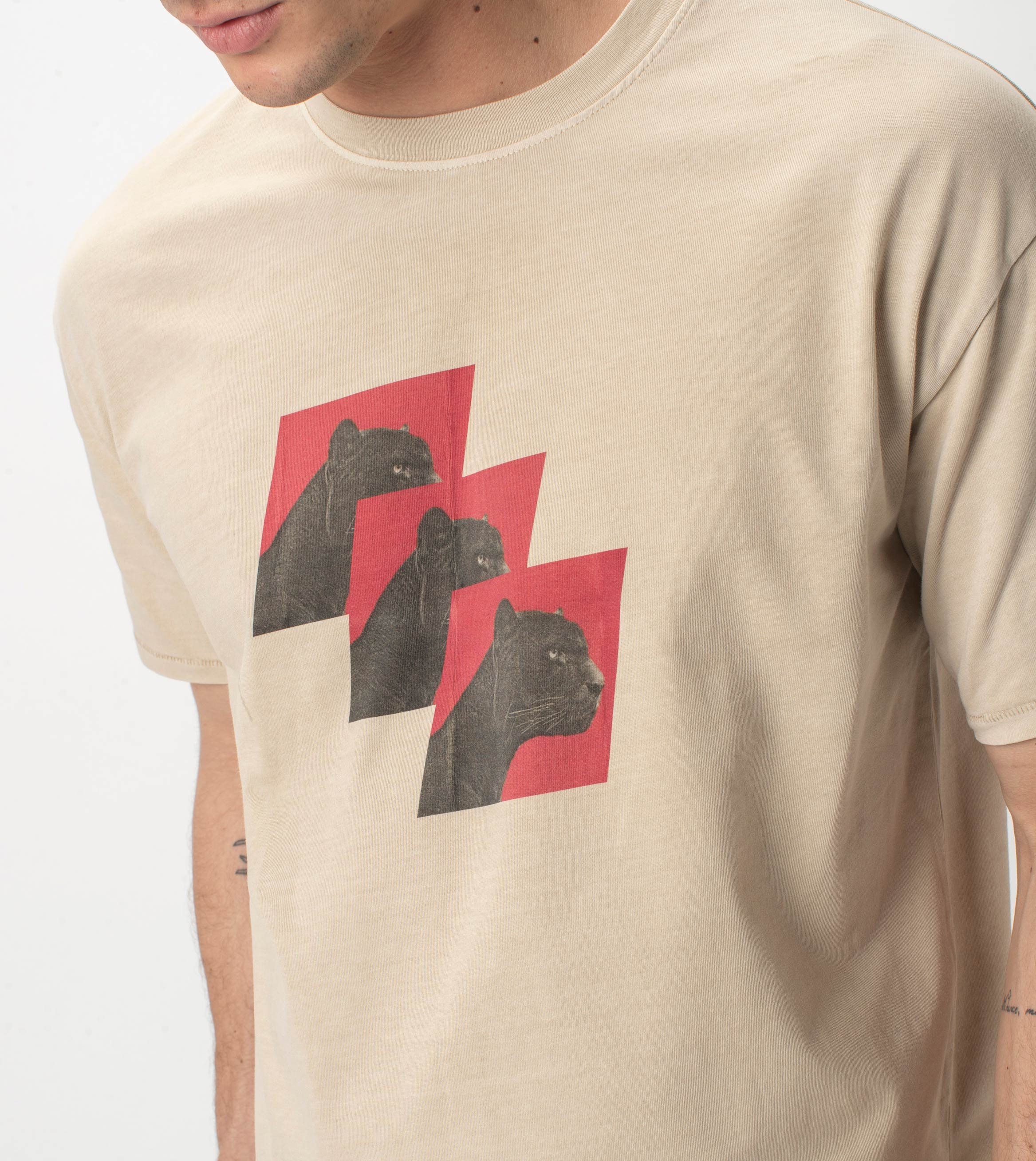 Panther Box Tee GD Oat