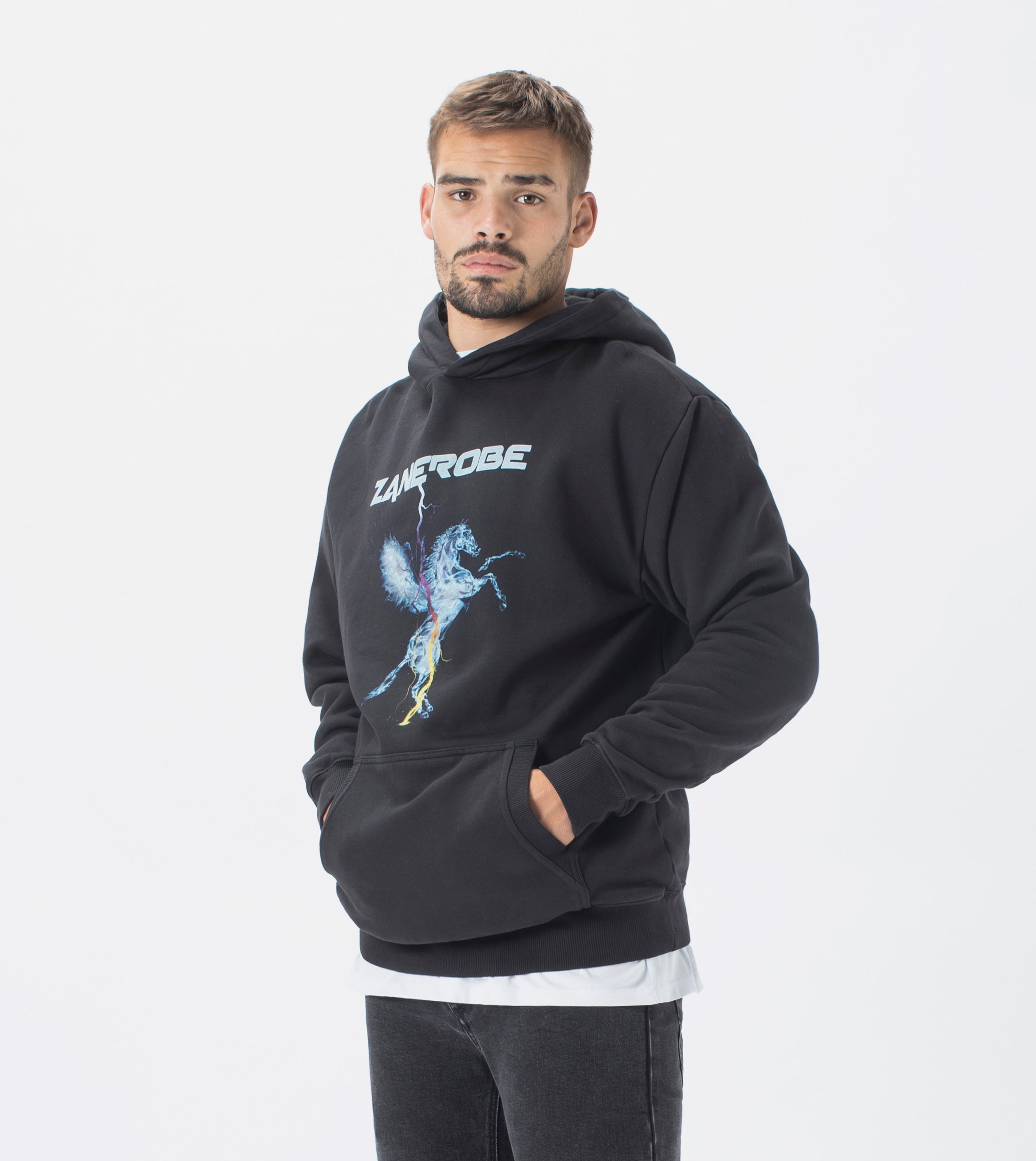 Pegasus Lowgo Hood Sweat GD Black