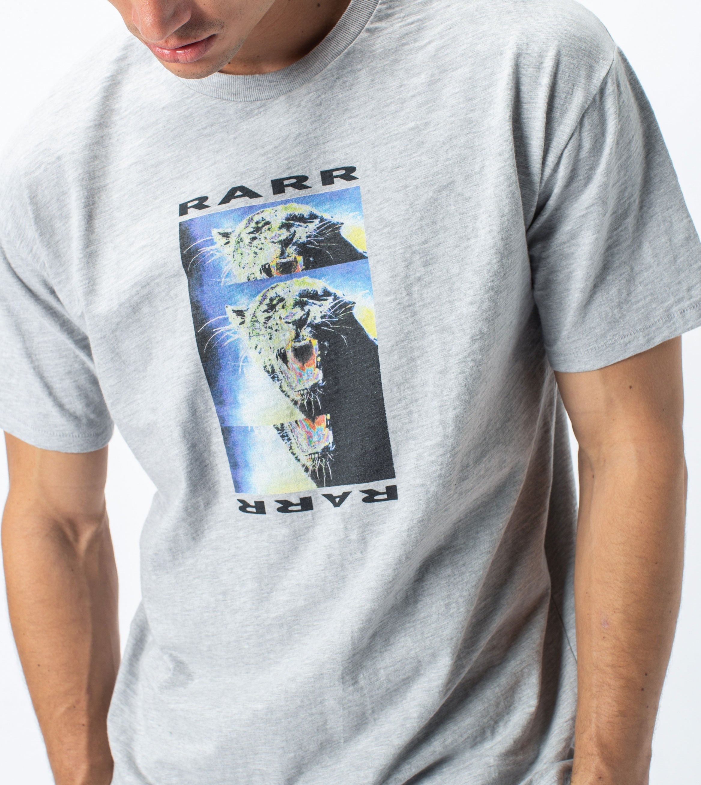 Rarr Box Tee Silver Marle