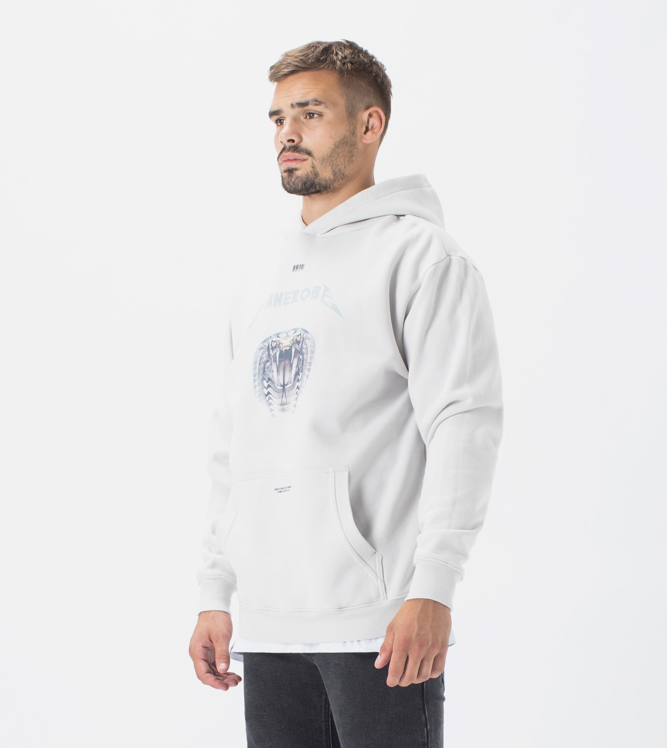 Snake Lowgo Hood Sweat Frost