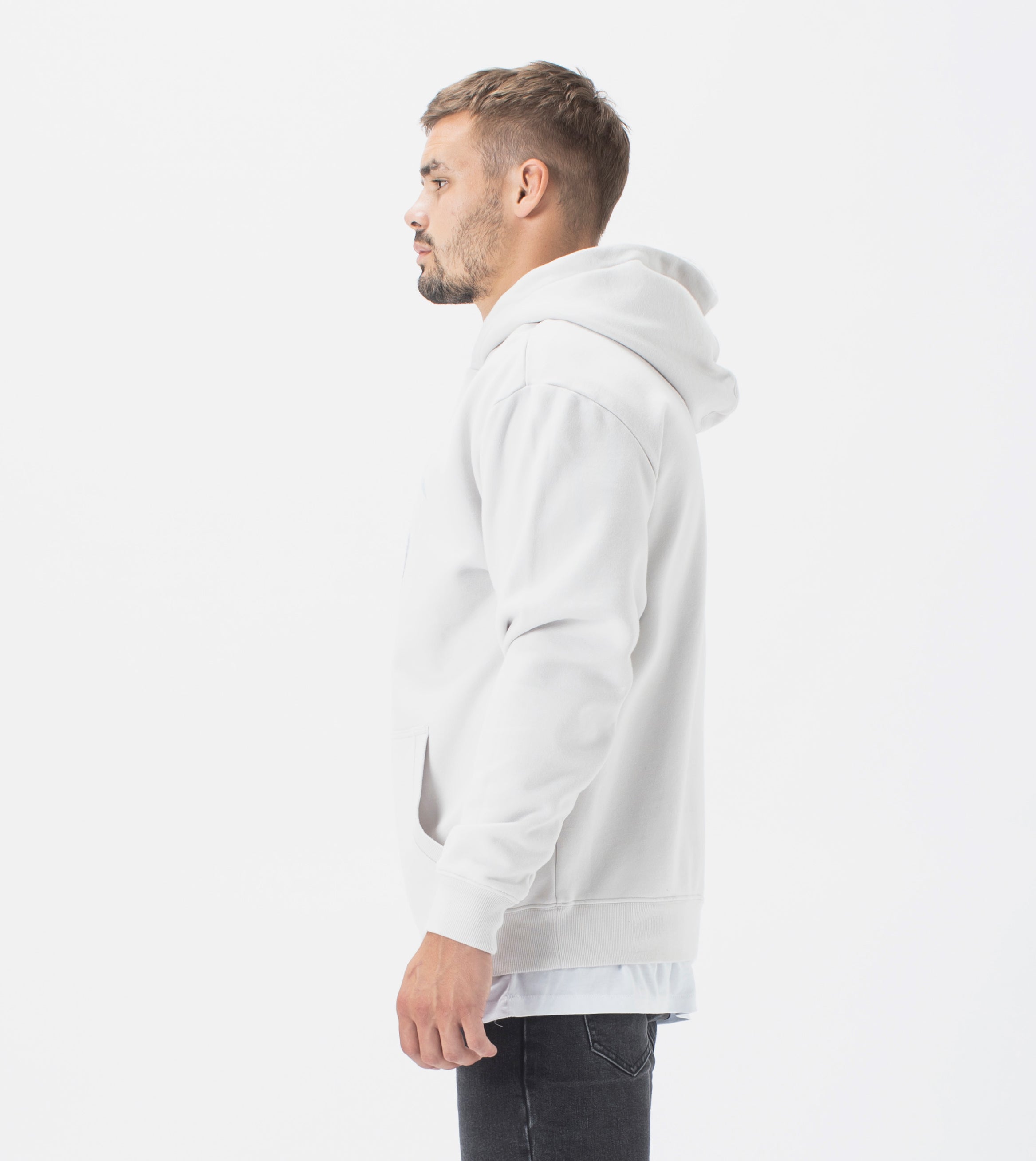 Snake Lowgo Hood Sweat Frost