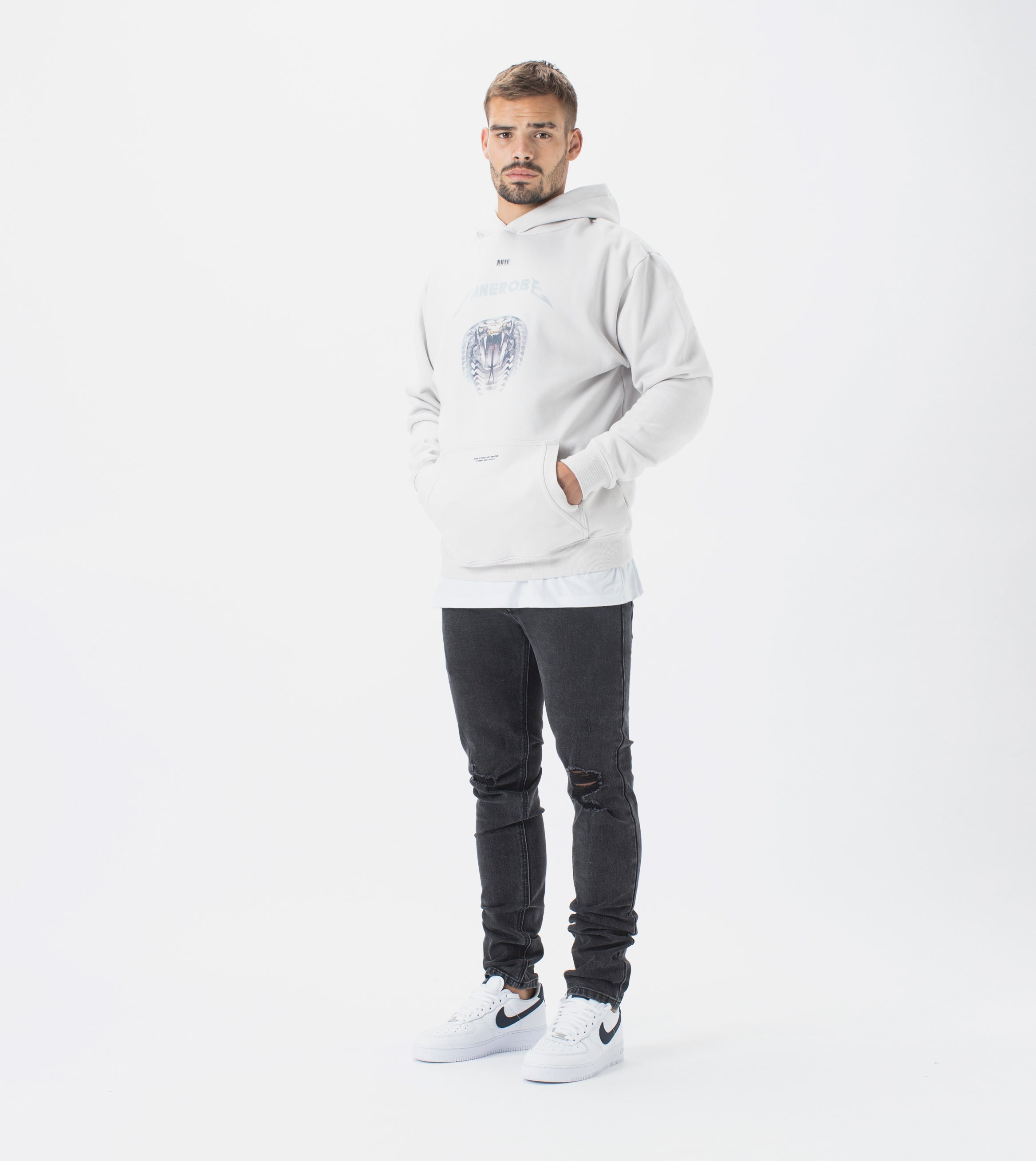Snake Lowgo Hood Sweat Frost