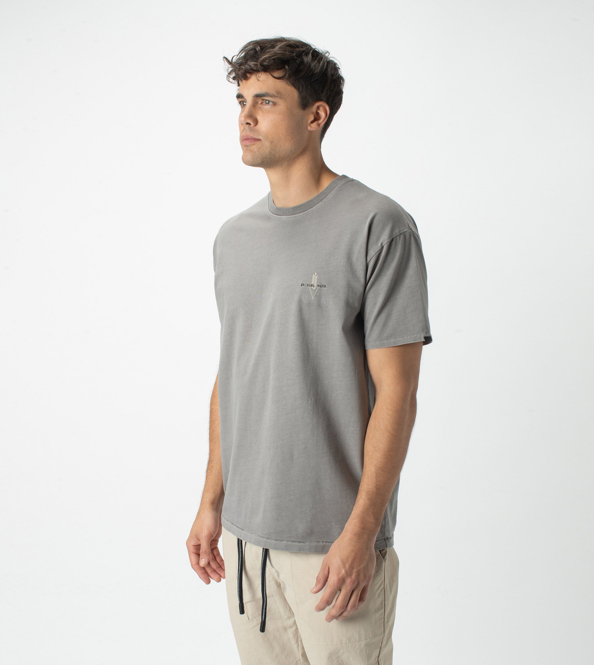 Wheat Box Tee GD Ash